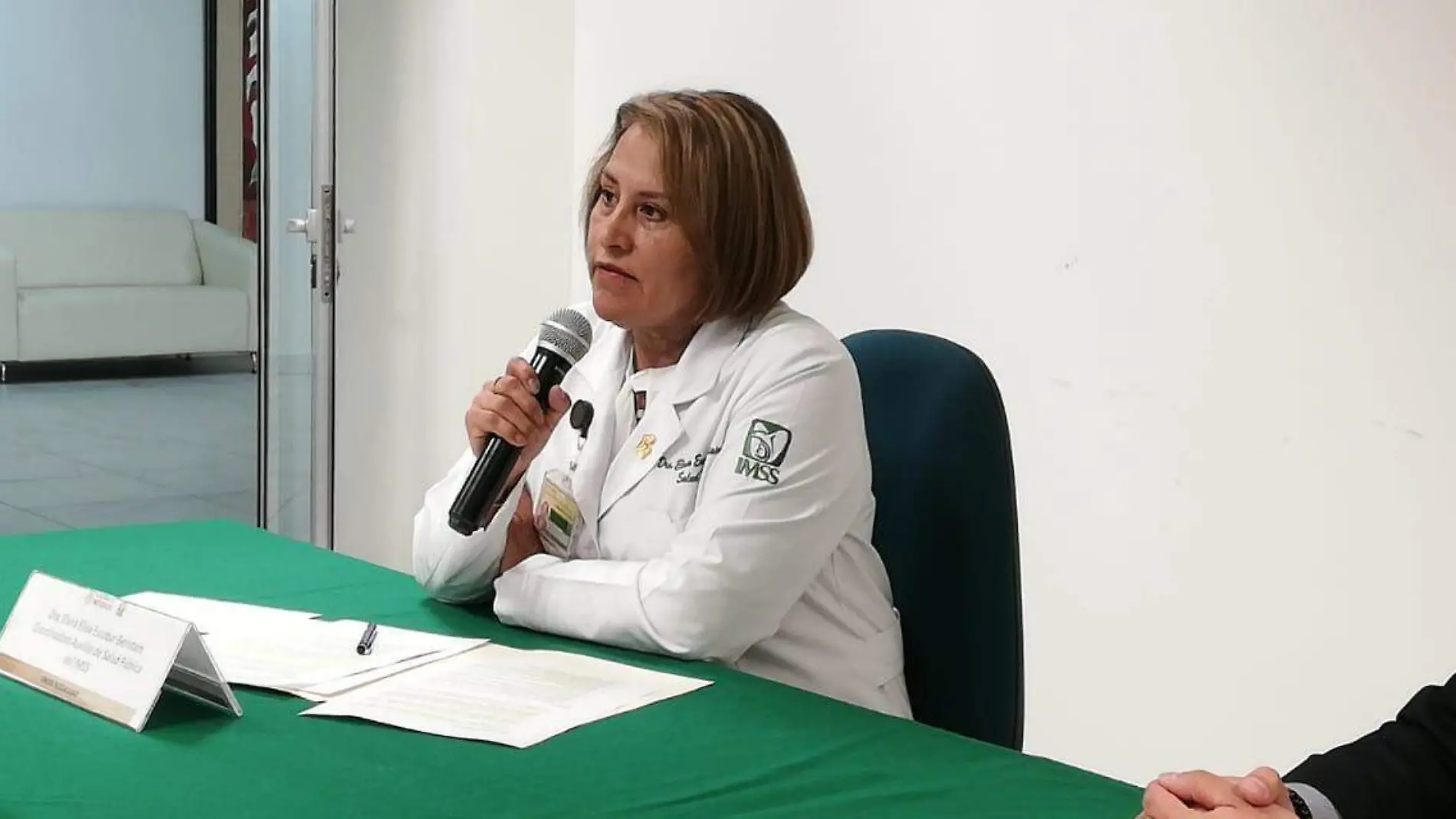 IMSS LACTANCIA